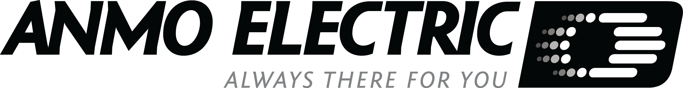 anmoelectric